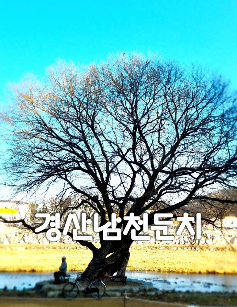 장봄 이미지