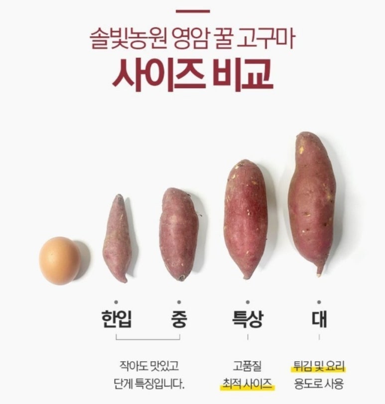 솔빛농원 이미지