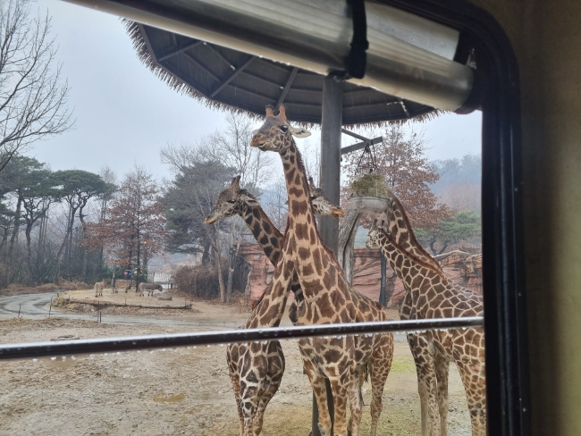 기린휴게실 이미지