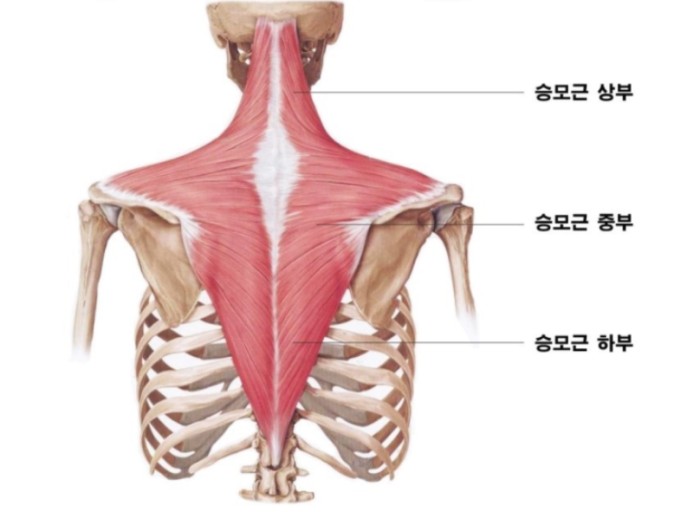 해피짐휘트니스 이미지