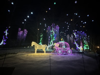 달빛,정원(Moonlight Garden) 이미지