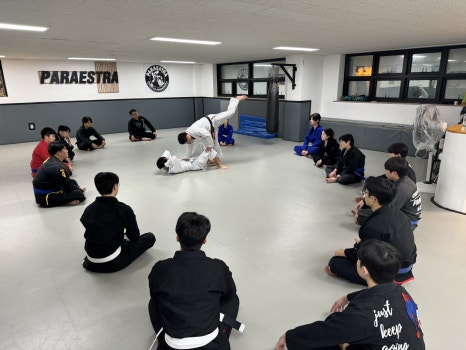 유일하계 이미지