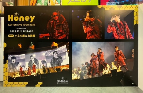 허니투어(HONEY TOUR) 이미지