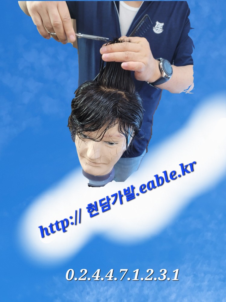 현담가발 이미지