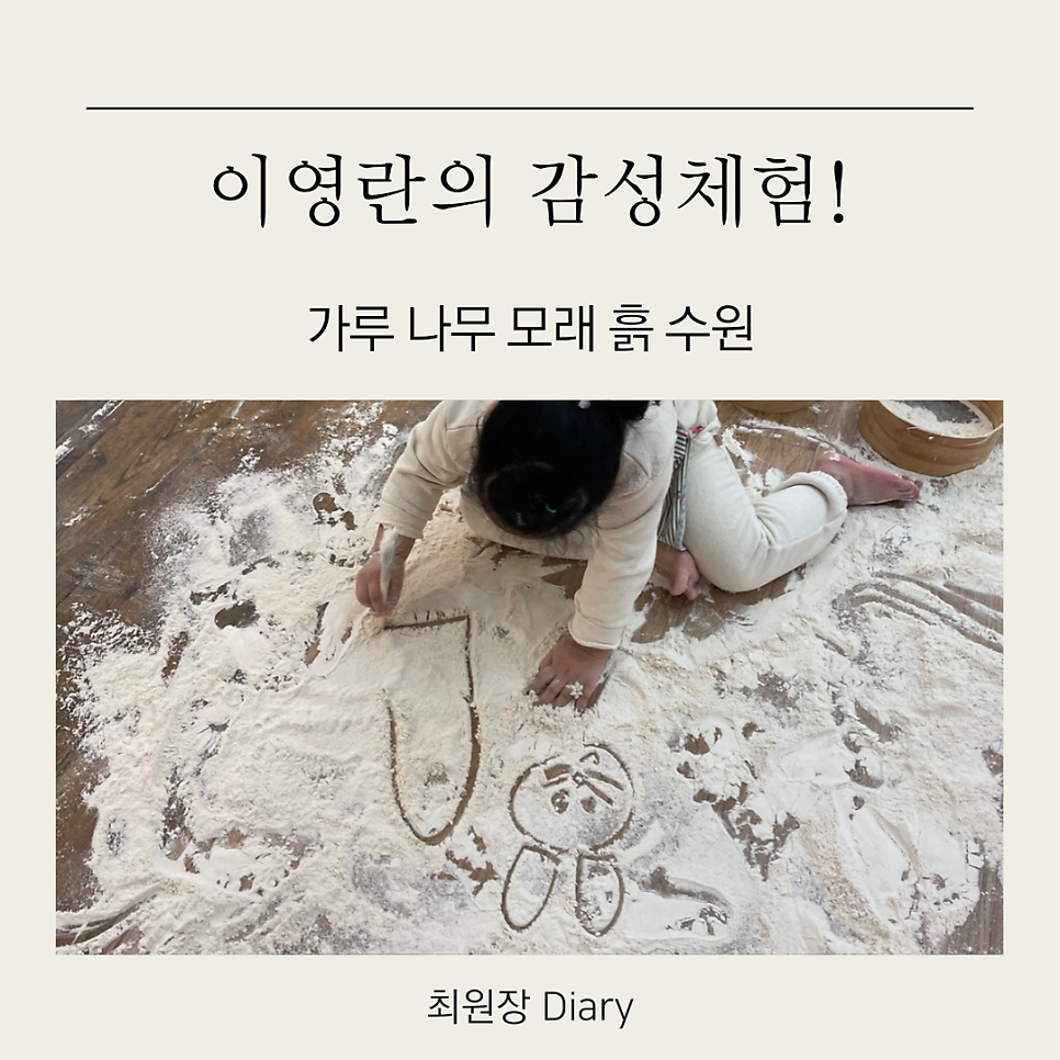 아트코칭나무 이미지