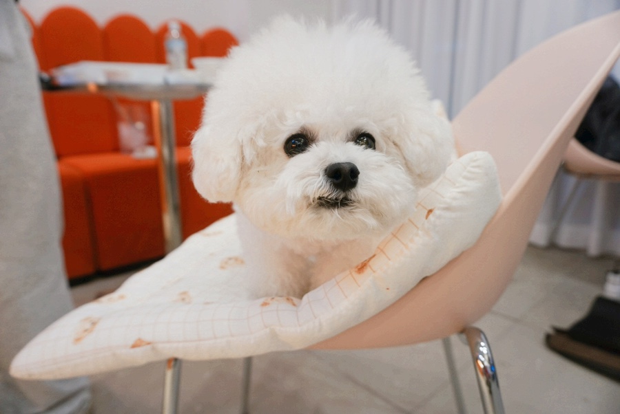 더 담다(The 담다) 이미지