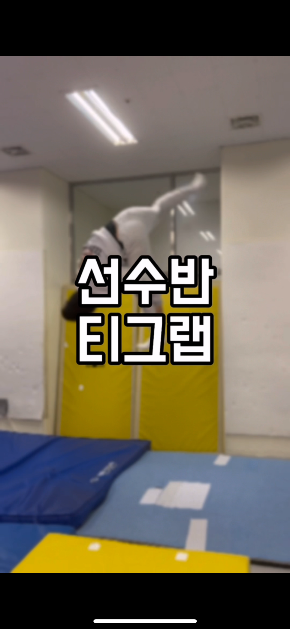 드래곤트릭킹짐 이미지