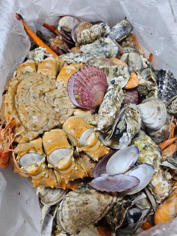 삼일수산 이미지