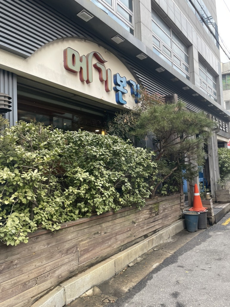메기본가 이미지