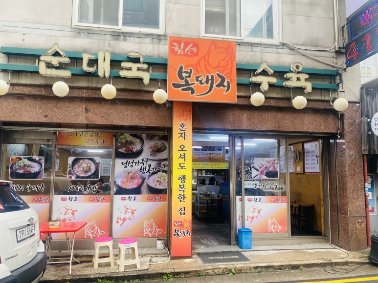 힘센복돼지 사진 7
