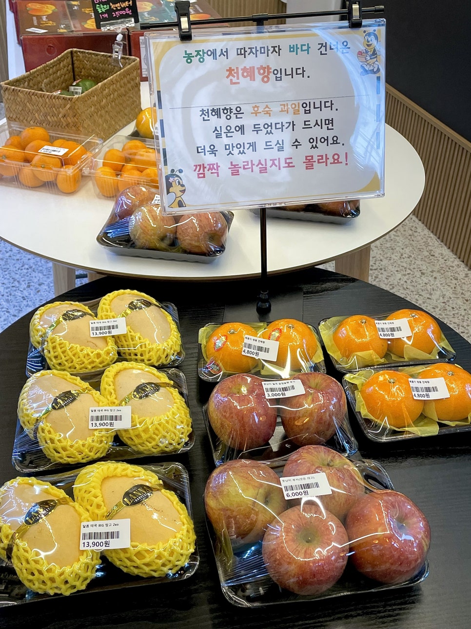 비프룻 이미지