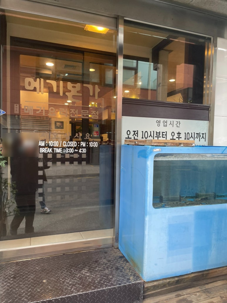 메기본가 이미지