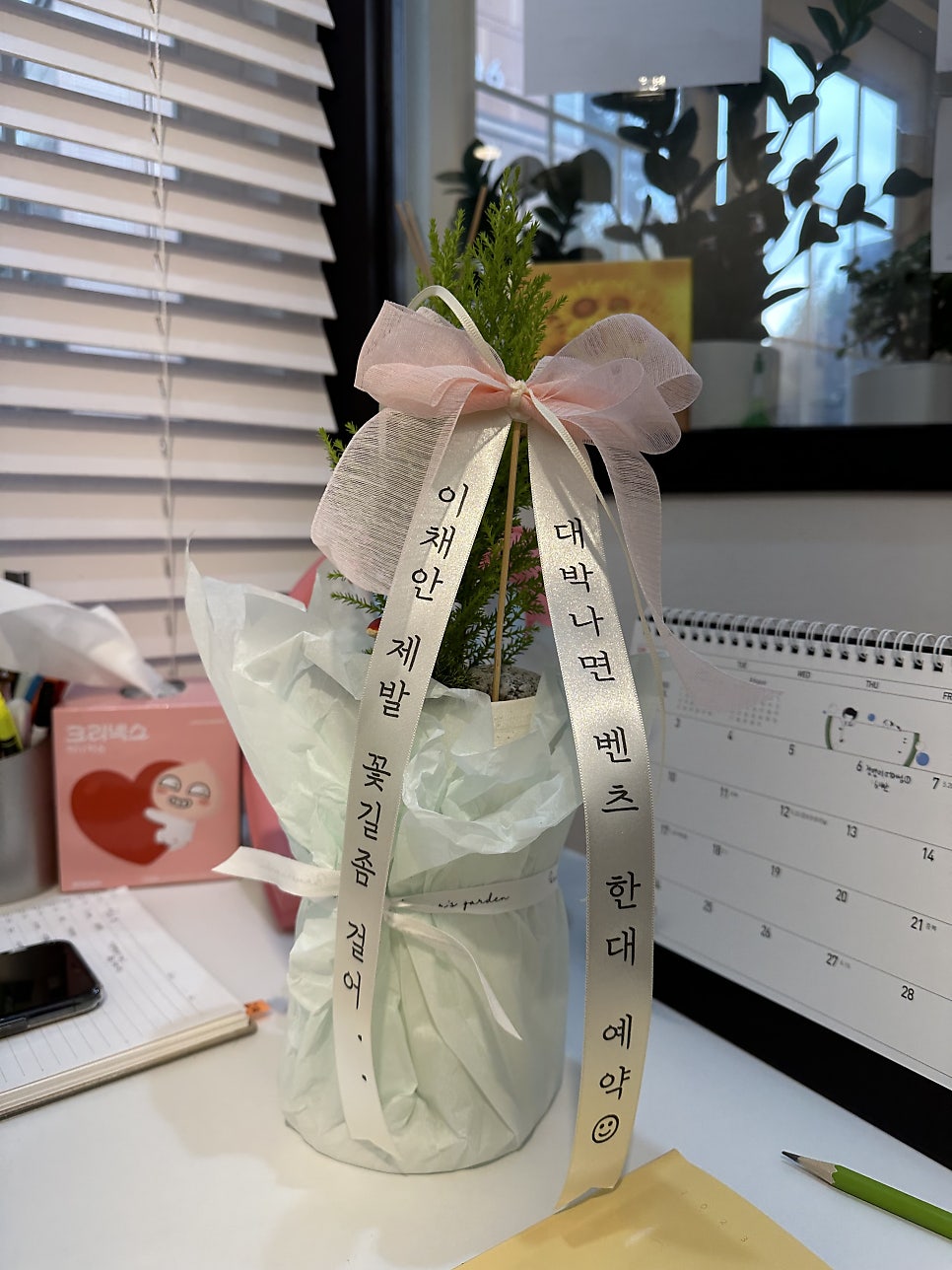 라라피아노교습소 이미지