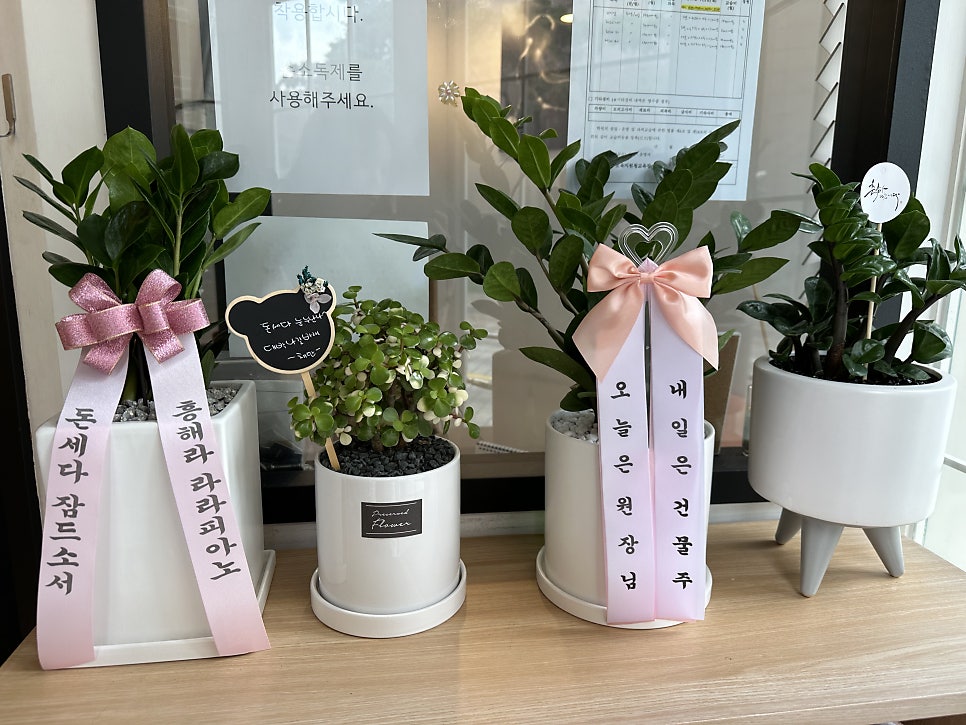 라라피아노교습소 이미지