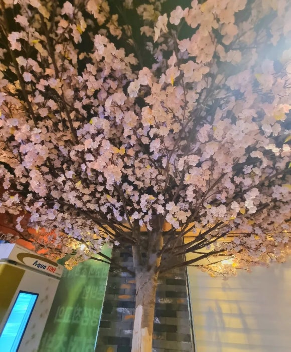 동네방네스시 이미지