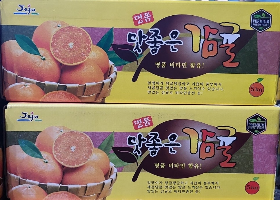 제주오렌지 이미지