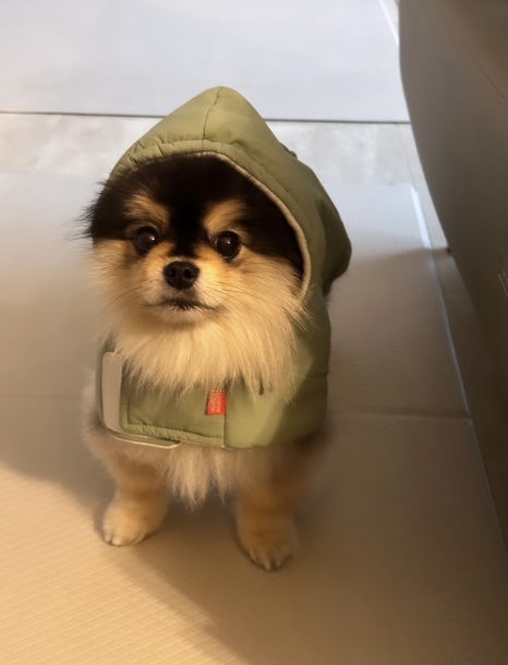 힐링나이트 이미지