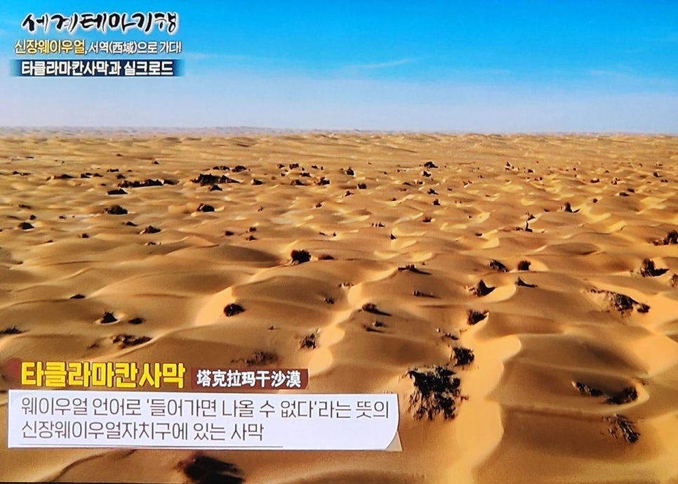 대유사 이미지