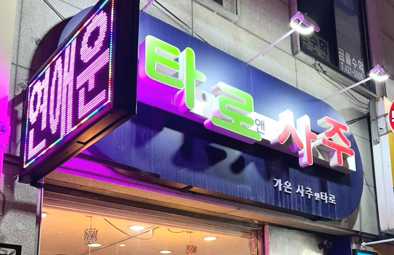 다올앤사주와타로 이미지