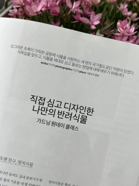 풀롶 이미지