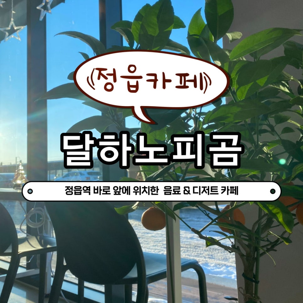 달하노피곰 이미지