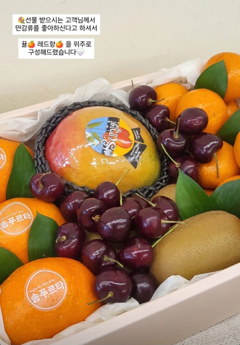 송푸르타 이미지