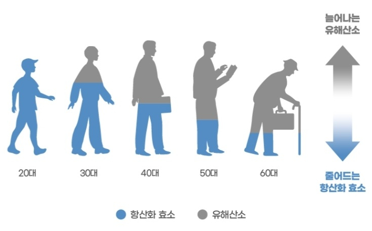 플러스푸드 이미지