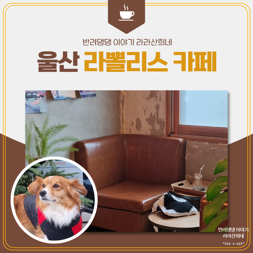 라뽈리스 이미지