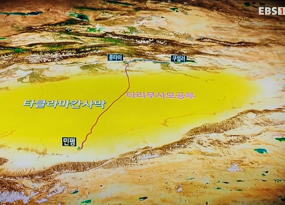 대유사 이미지