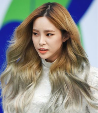 조에룸 이미지