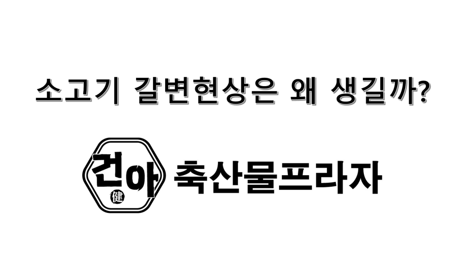 건아축산물프라자 이미지