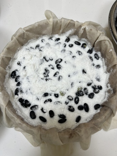 콩시루 이미지