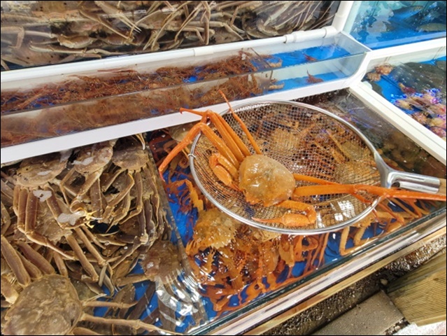 싱싱활어센타 이미지