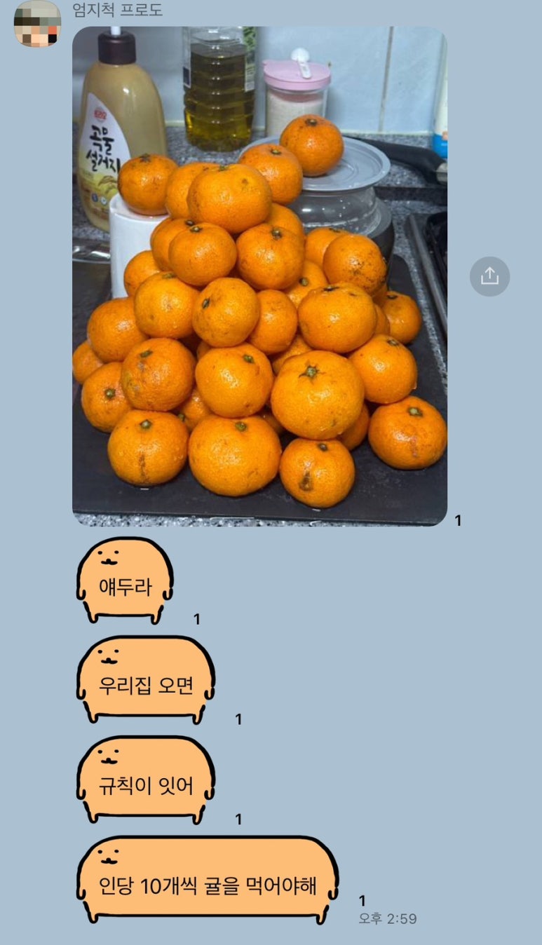 갱이하우스 이미지