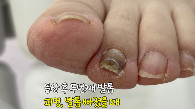 레푸스강남세곡점 이미지