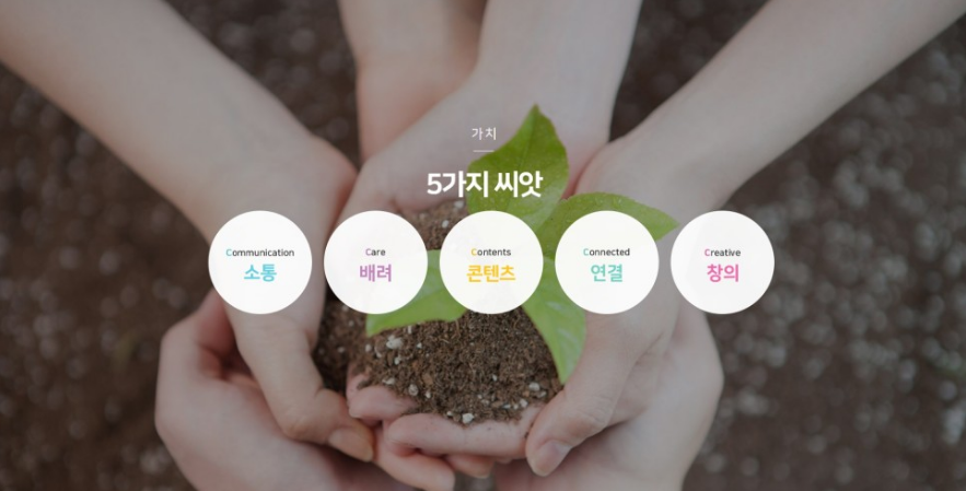 와이에스솔루션 이미지