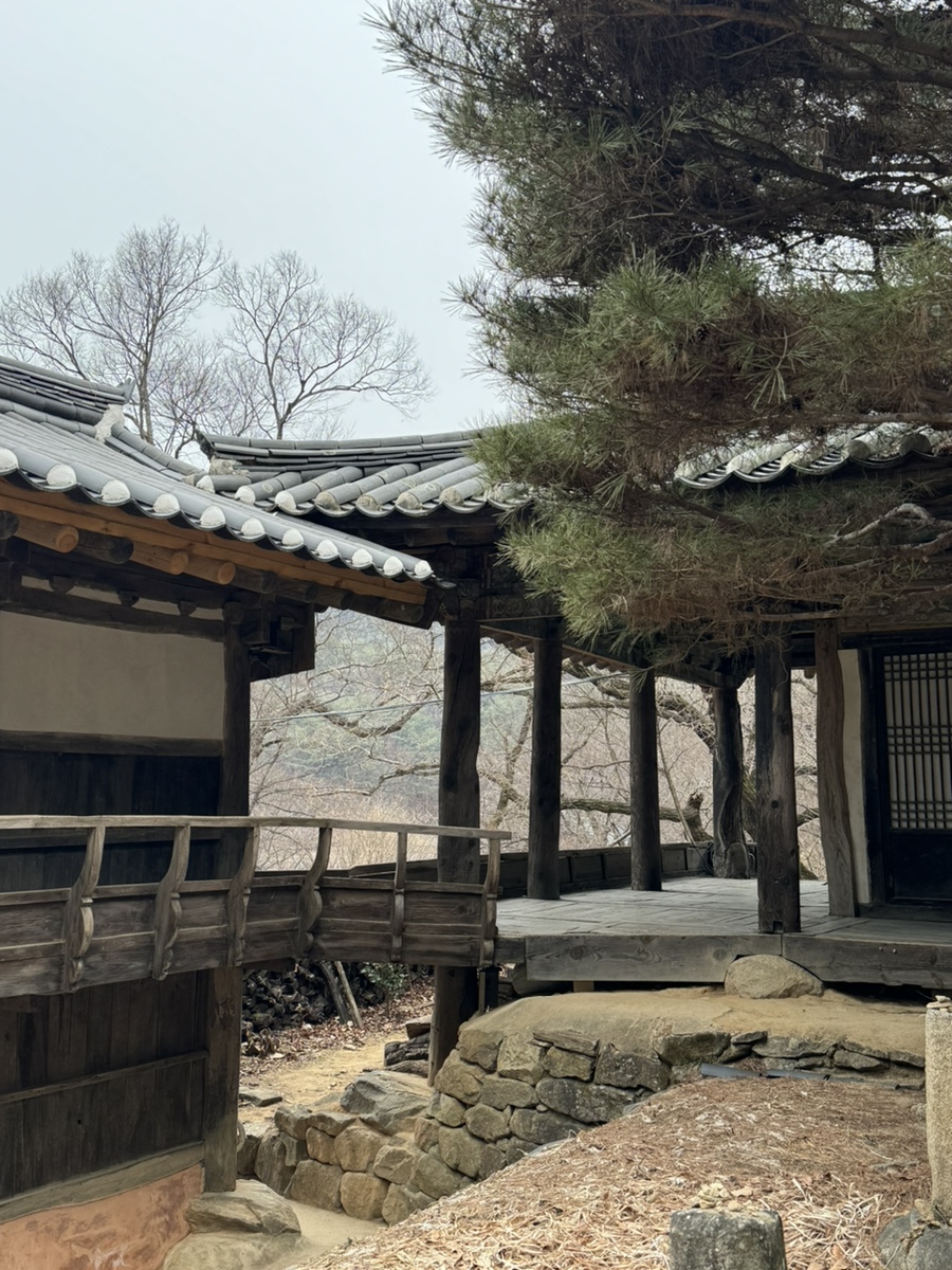 퓨띵스 이미지