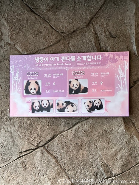 이니지아 이미지