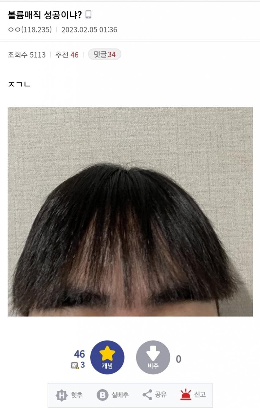 뽀삐미용실 이미지