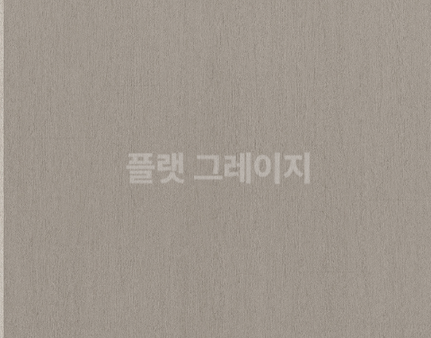 풍암중앙로 이미지