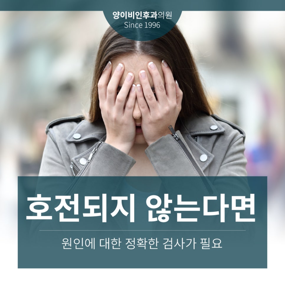핑의정부 이미지