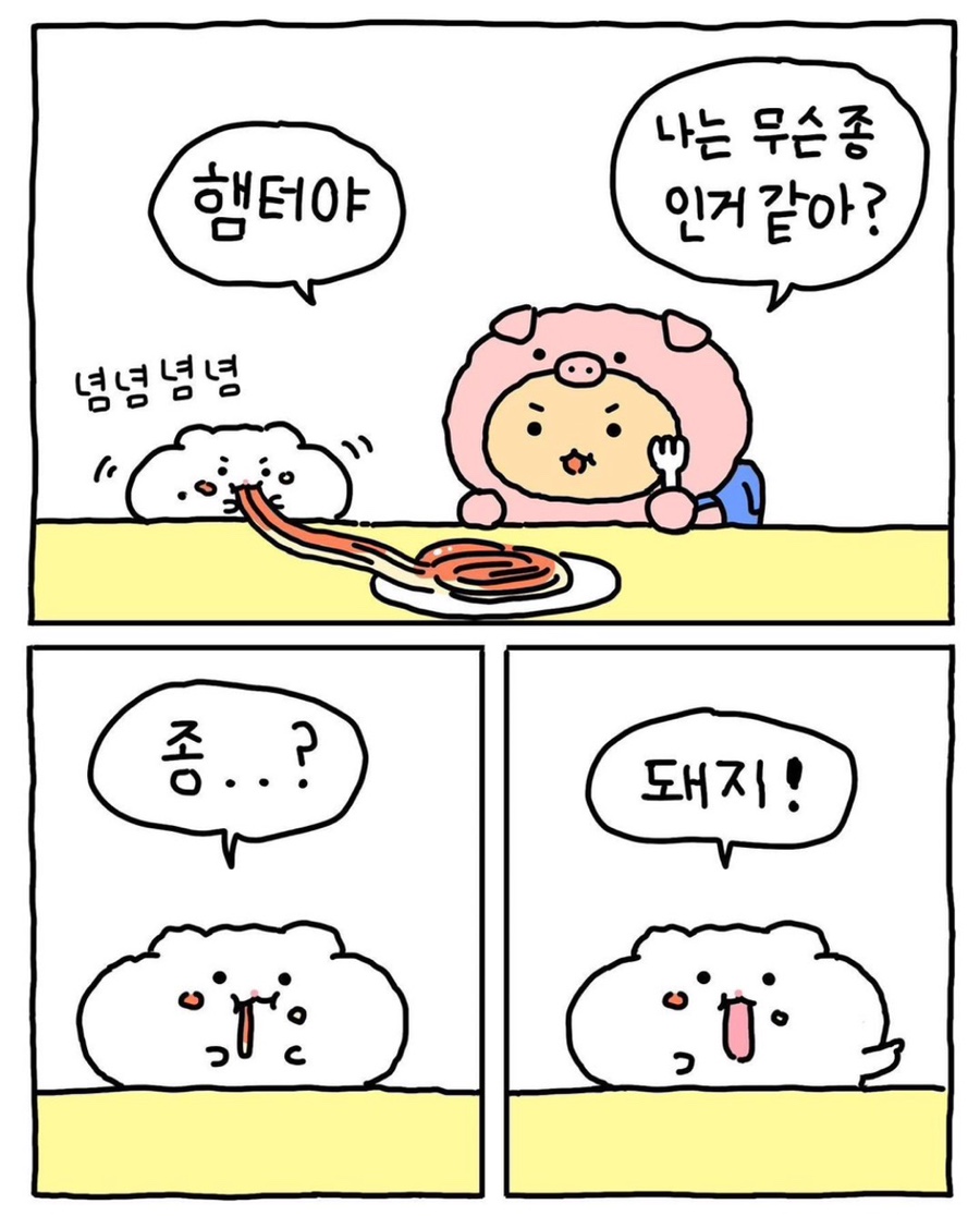 엘몽끄 이미지