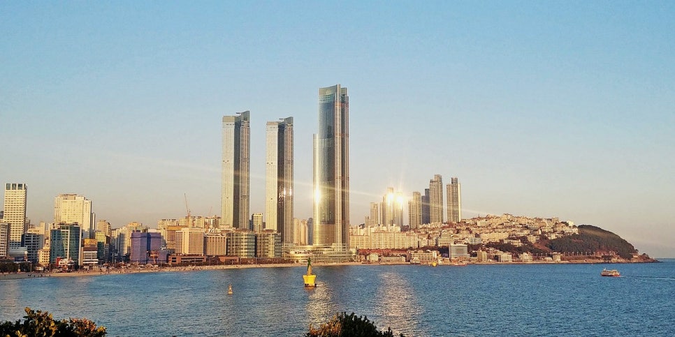 마이스플랜 이미지