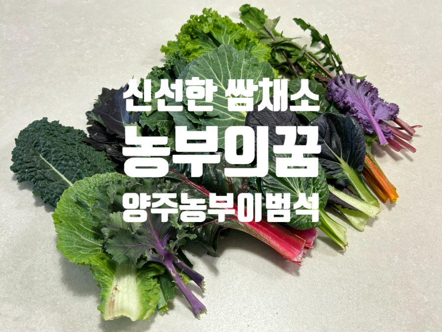 농부의집 이미지