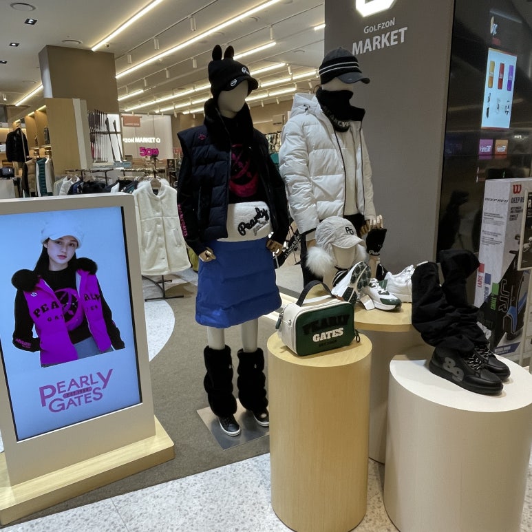 파리게이츠고양 이미지