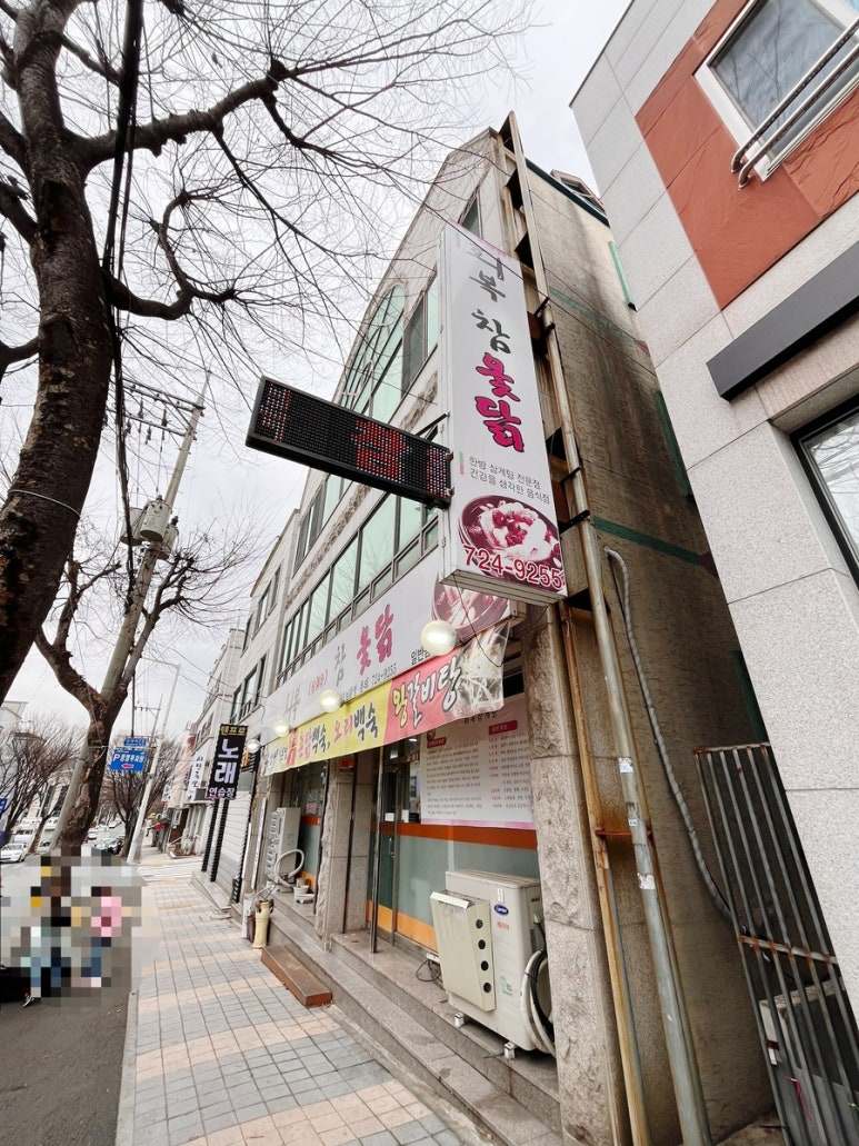 회복참옻닭 이미지