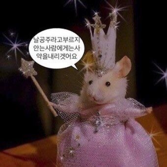 이** 이미지