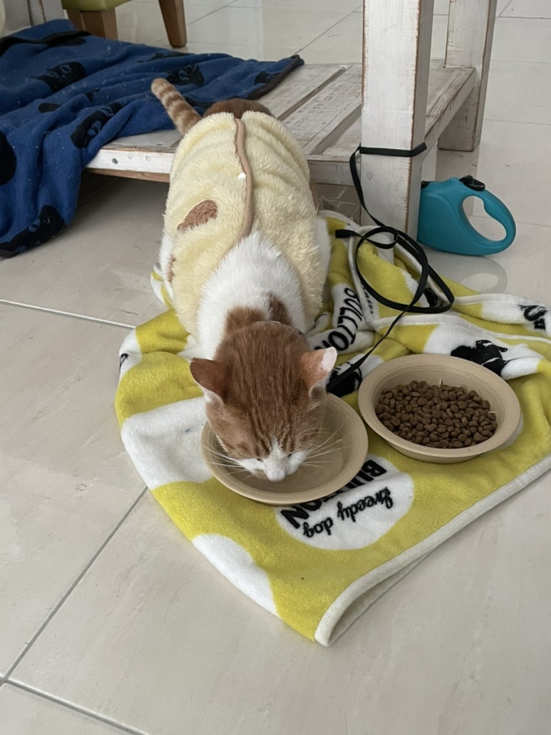 수빈이네옷가게 이미지