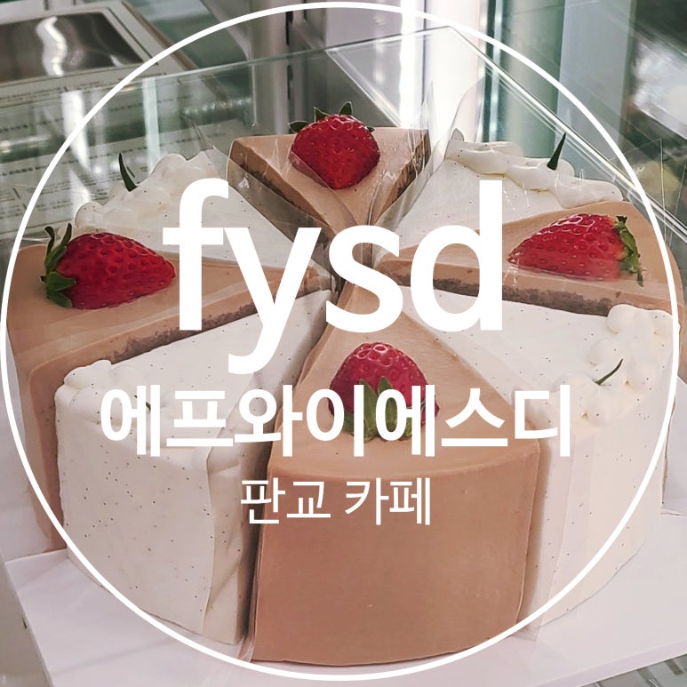 에프와이에스디 이미지