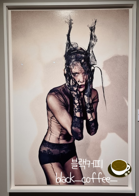 아담스마치 이미지